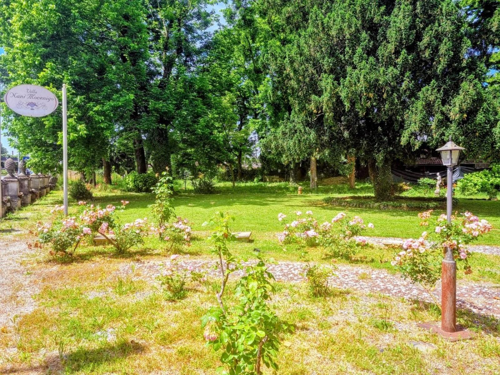 Villa Nani Mocenigo Dolo Bagian luar foto
